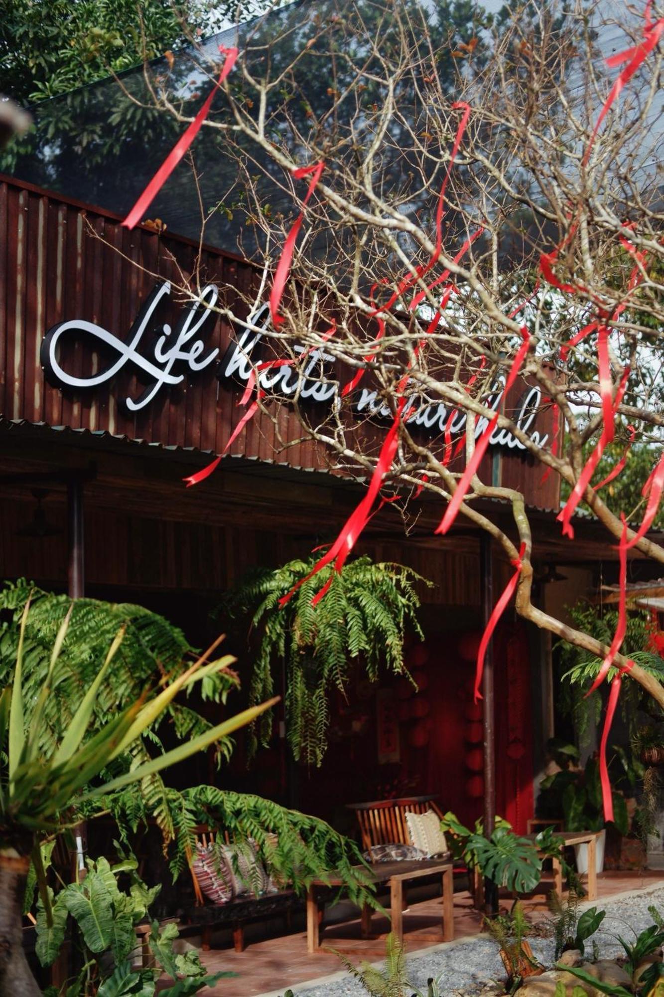 Harmony Garden - Home And Coffee Hue Exterior photo